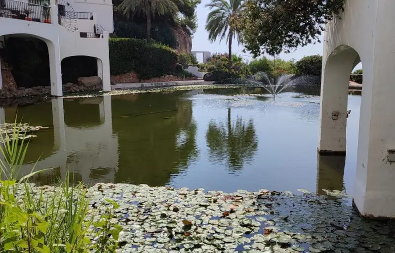Local comercial a la venta en Nerja - R5227978